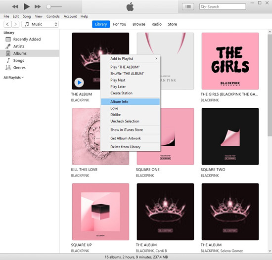 iTunes album info metadata editor window
