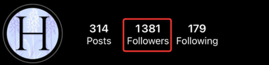 Instagram followers list interface showing follower management options