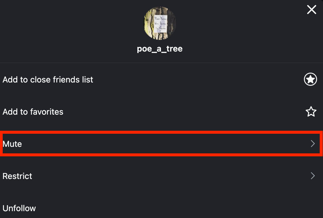 Instagram mute user option in profile settings