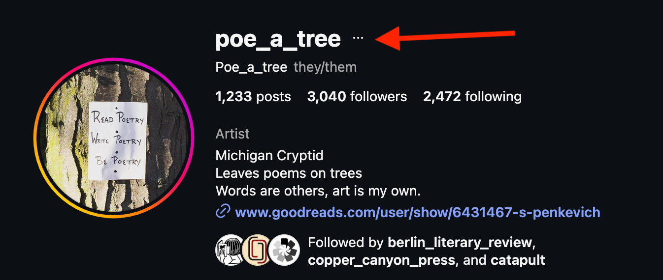 Instagram profile menu showing three dots for additional options
