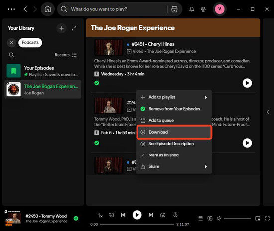 download Spotify podcasts offline