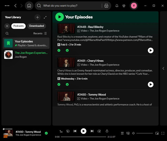 download Spotify podcasts offline