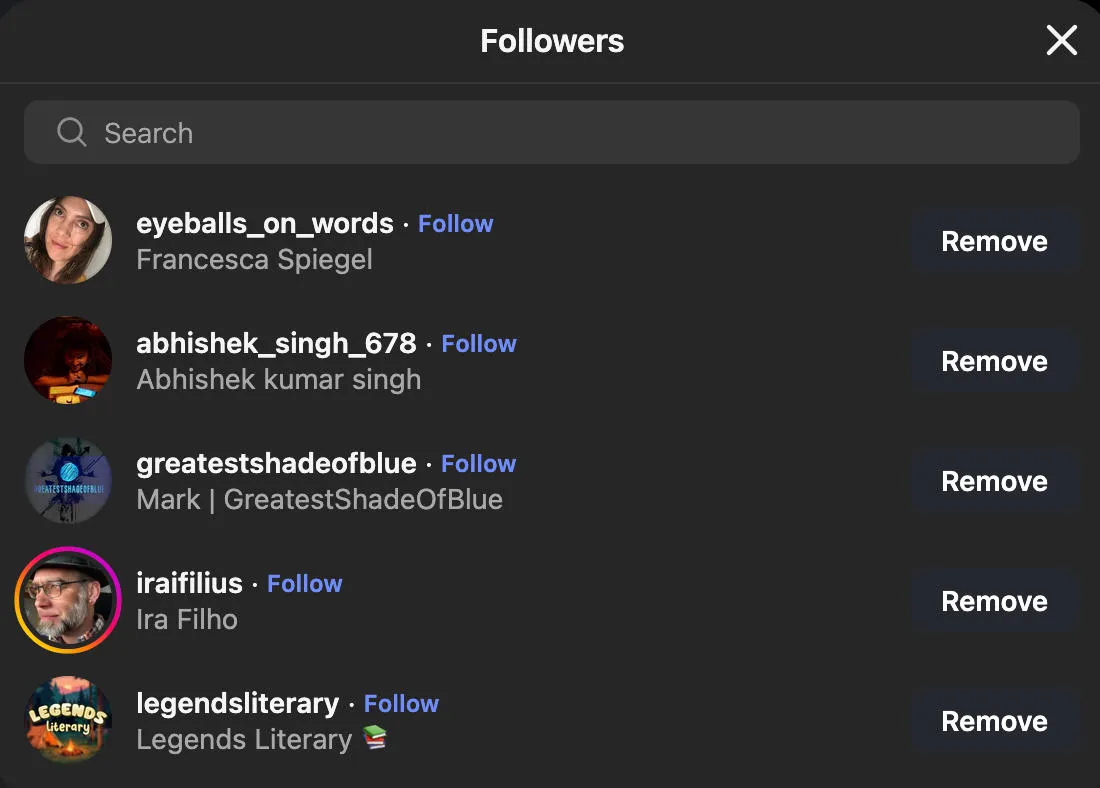 Instagram followers list interface showing user profiles