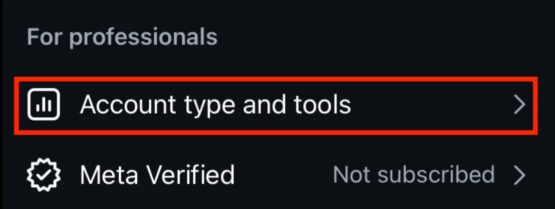 Instagram account type and tools menu showing professional account options