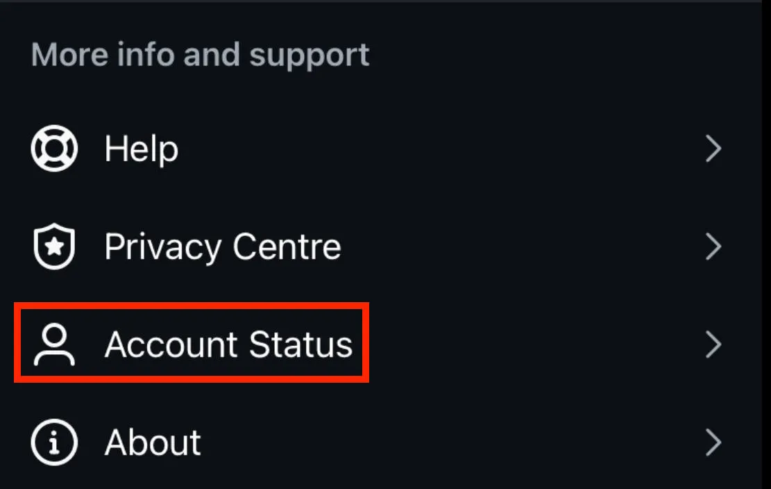 Instagram account status check screen