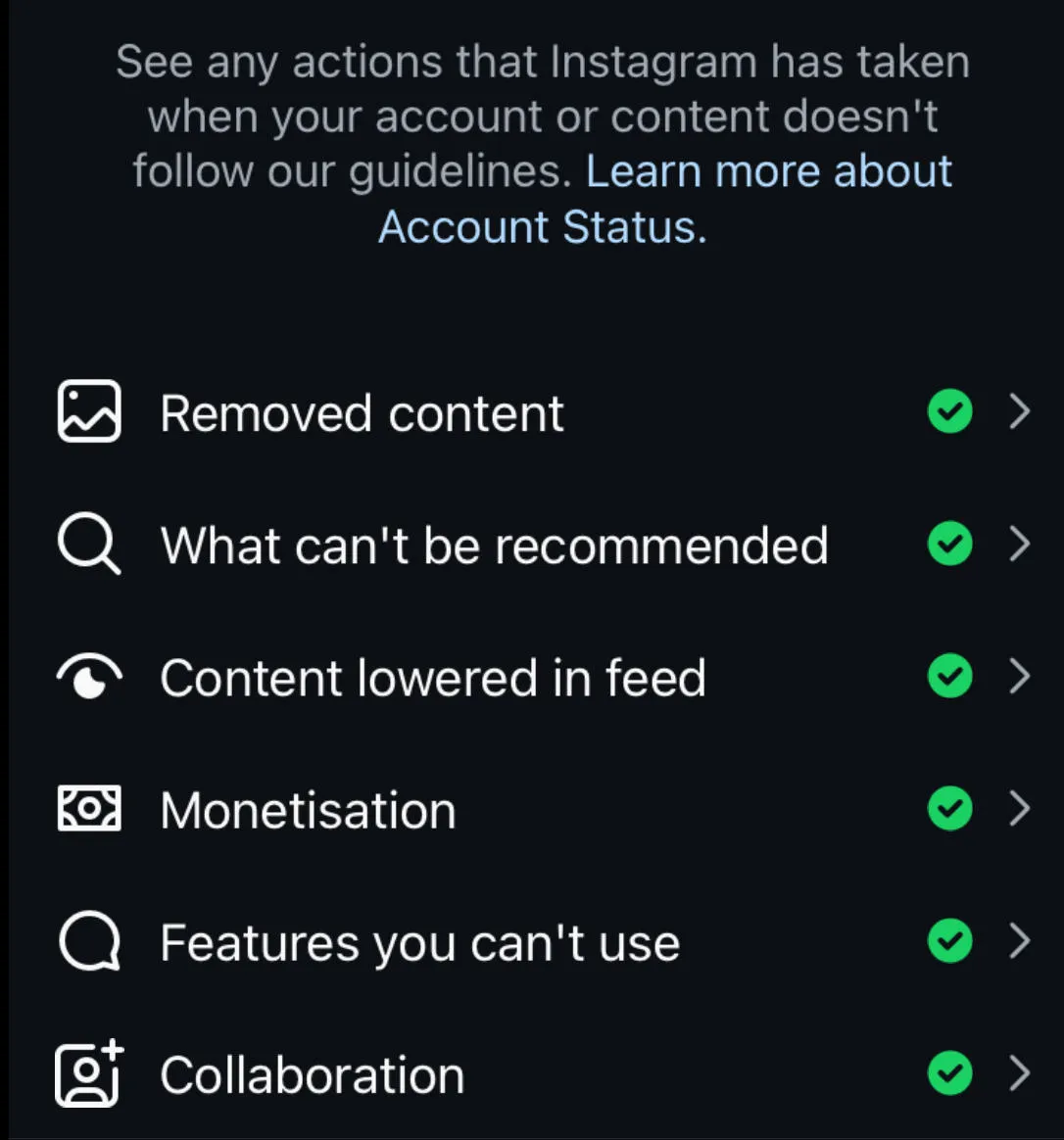 Instagram account status overview interface